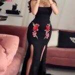 لانجري سواريه - S22