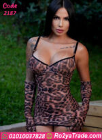 بيبي دول تايجر