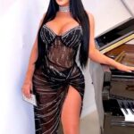 لانجري طويل مثير